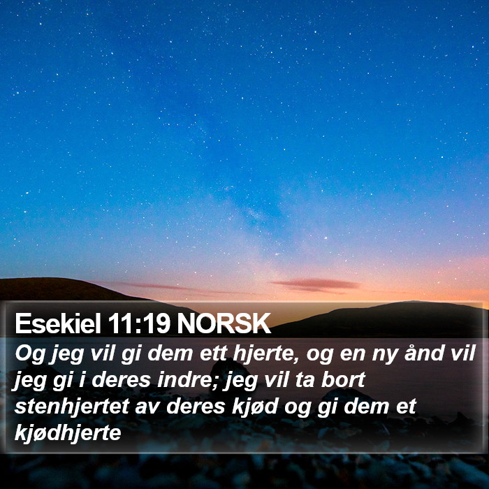 Esekiel 11:19 NORSK Bible Study