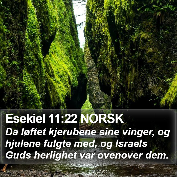 Esekiel 11:22 NORSK Bible Study