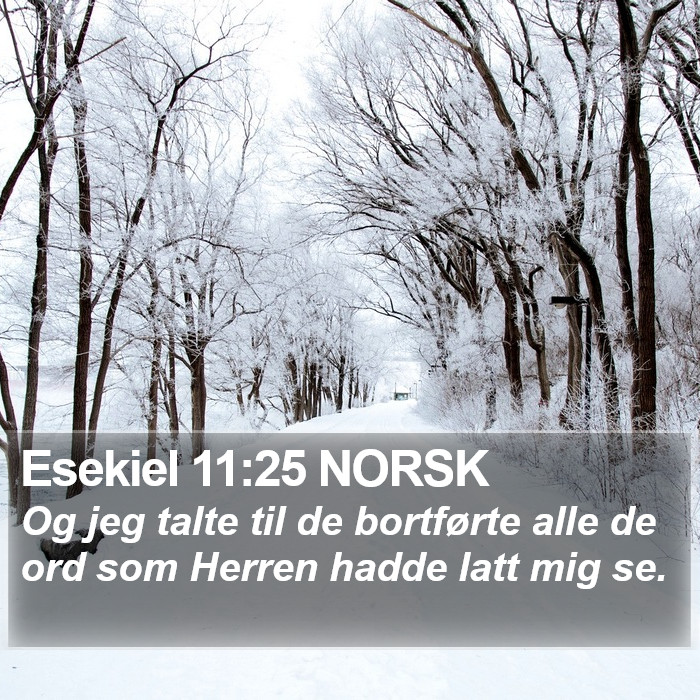 Esekiel 11:25 NORSK Bible Study