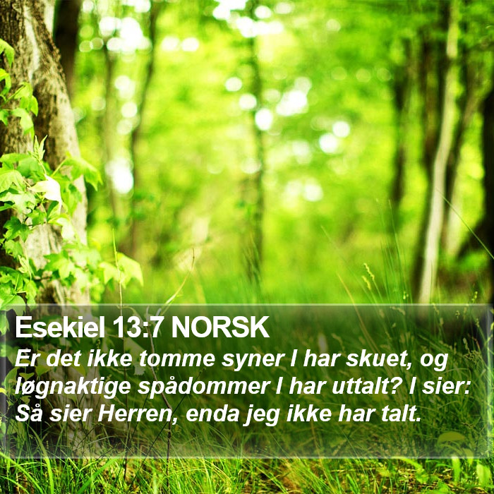 Esekiel 13:7 NORSK Bible Study