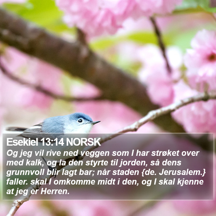 Esekiel 13:14 NORSK Bible Study