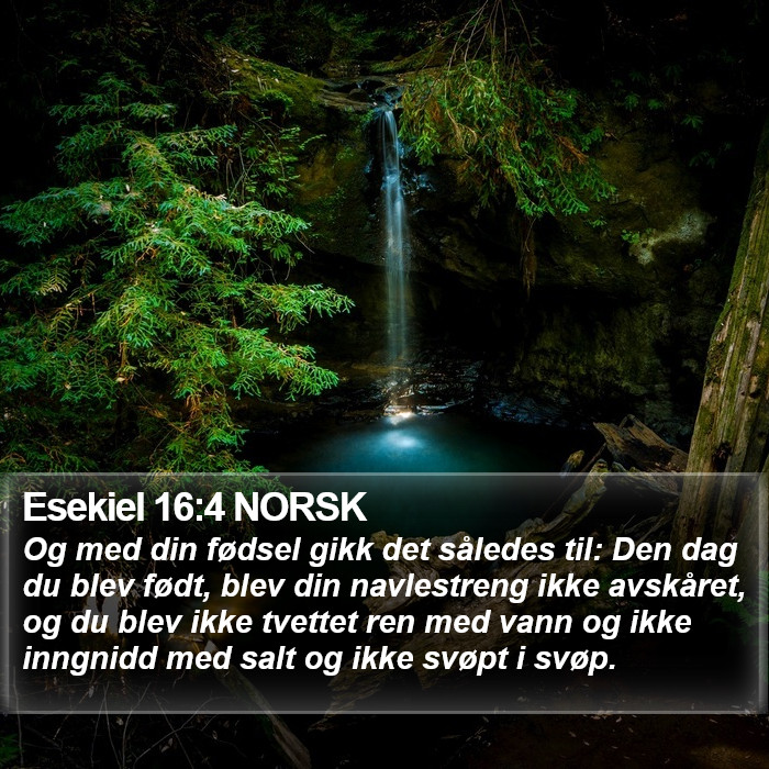 Esekiel 16:4 NORSK Bible Study