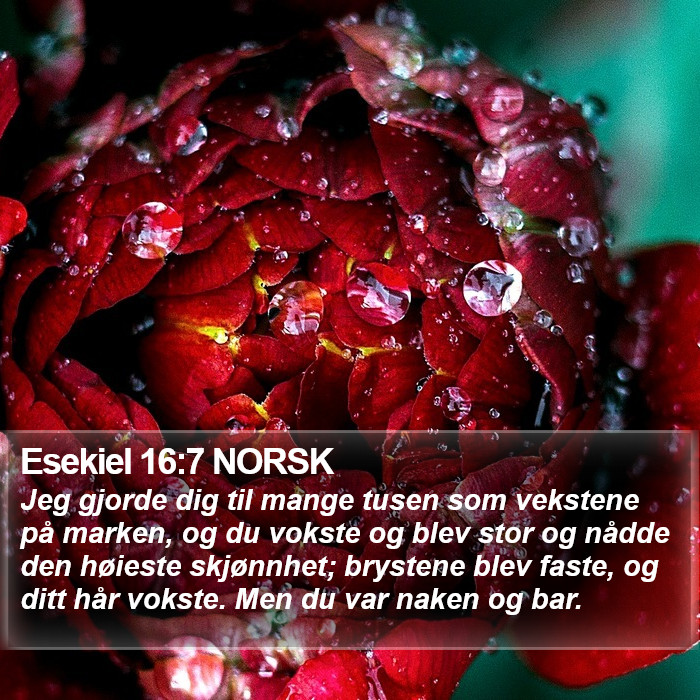 Esekiel 16:7 NORSK Bible Study