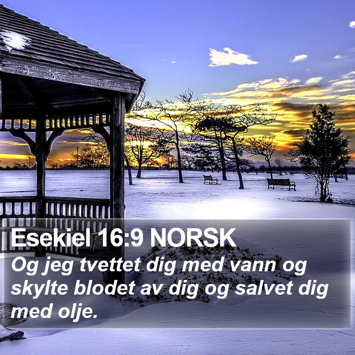 Esekiel 16:9 NORSK Bible Study