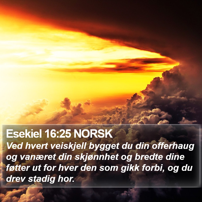 Esekiel 16:25 NORSK Bible Study