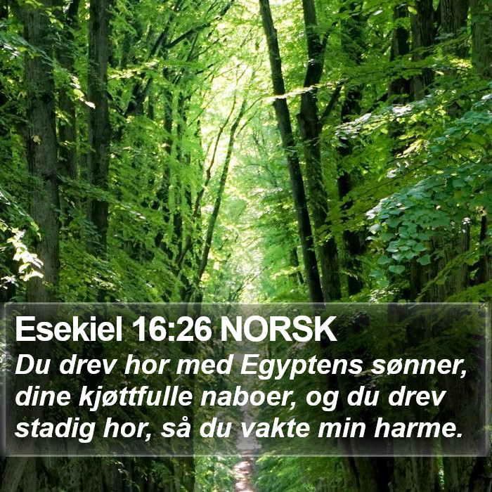 Esekiel 16:26 NORSK Bible Study