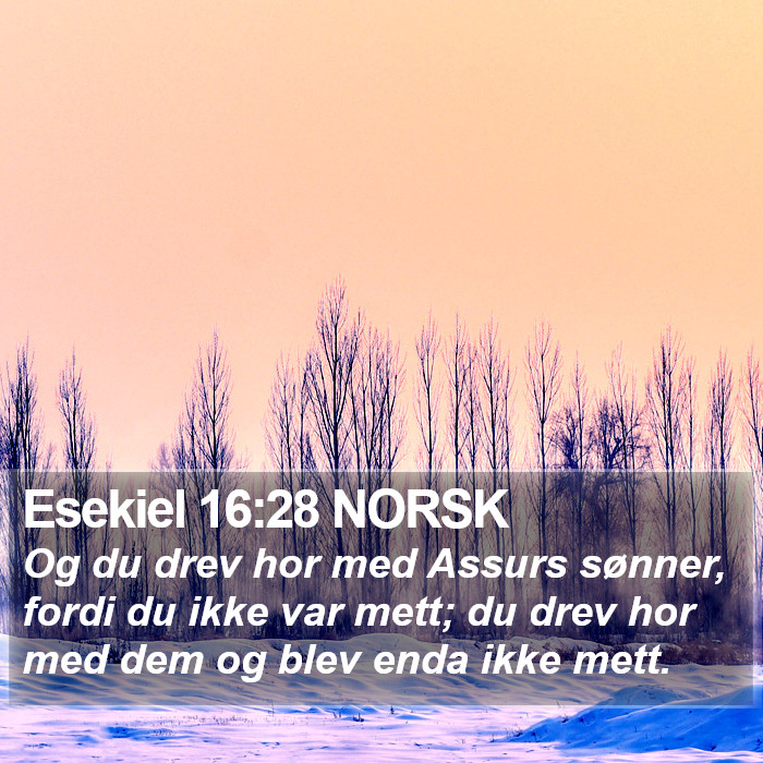 Esekiel 16:28 NORSK Bible Study