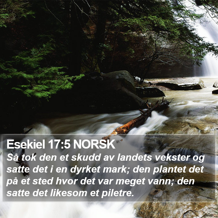 Esekiel 17:5 NORSK Bible Study