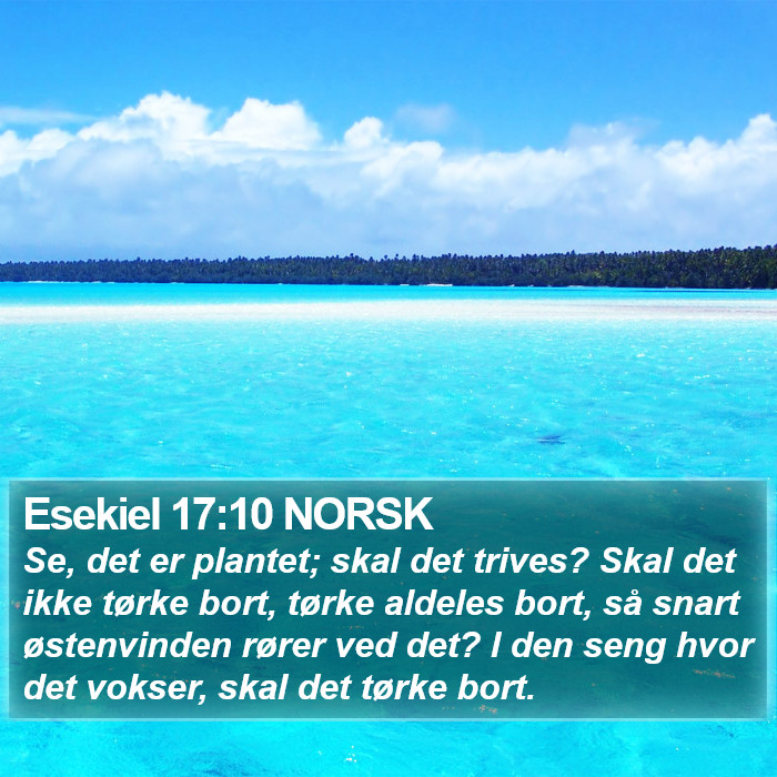 Esekiel 17:10 NORSK Bible Study