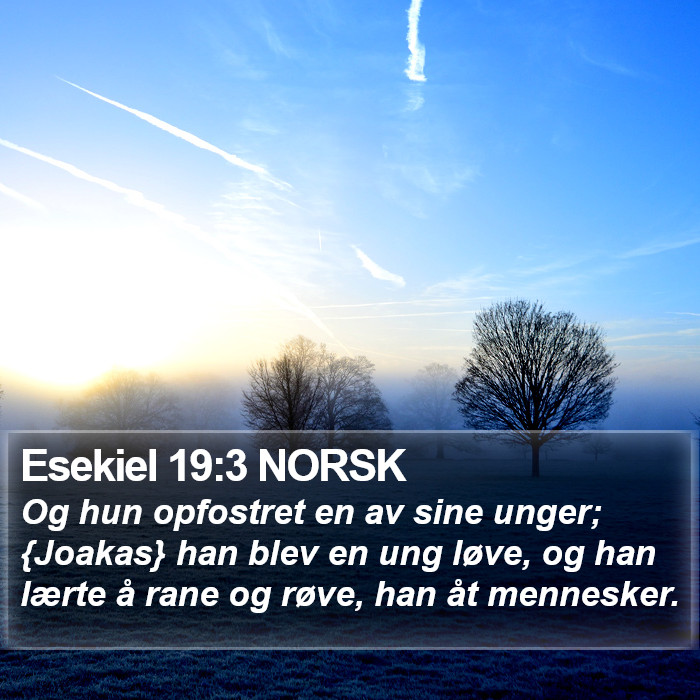 Esekiel 19:3 NORSK Bible Study