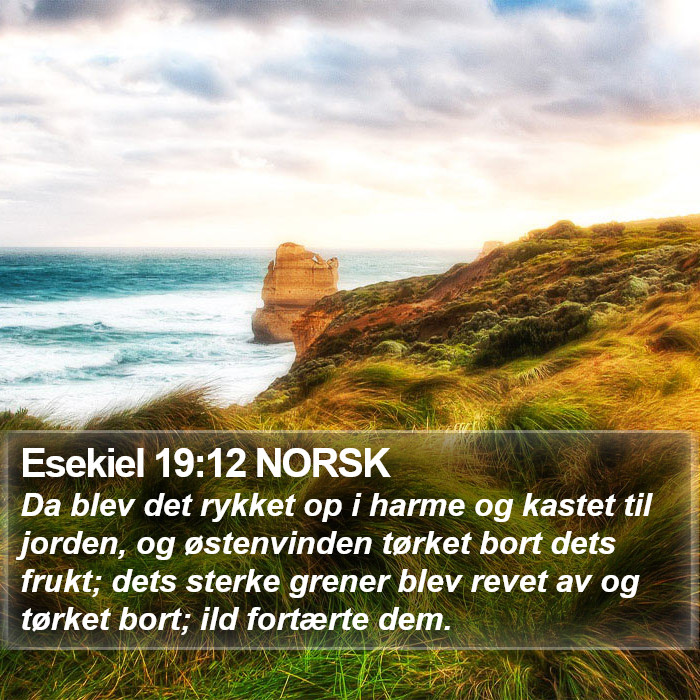 Esekiel 19:12 NORSK Bible Study