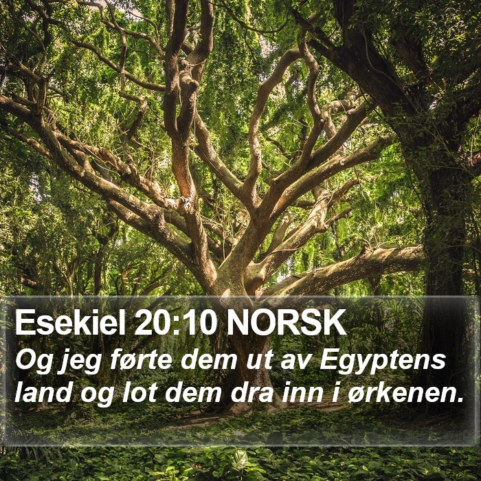 Esekiel 20:10 NORSK Bible Study