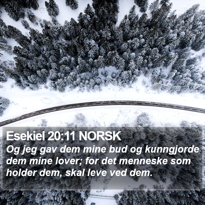 Esekiel 20:11 NORSK Bible Study