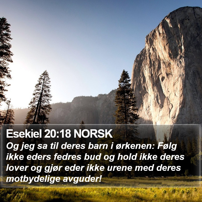 Esekiel 20:18 NORSK Bible Study