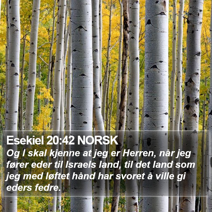 Esekiel 20:42 NORSK Bible Study