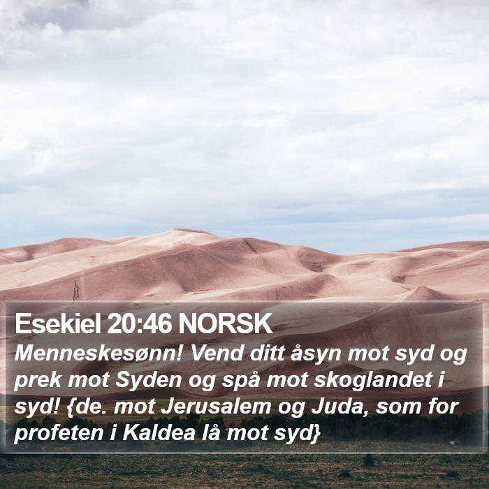 Esekiel 20:46 NORSK Bible Study