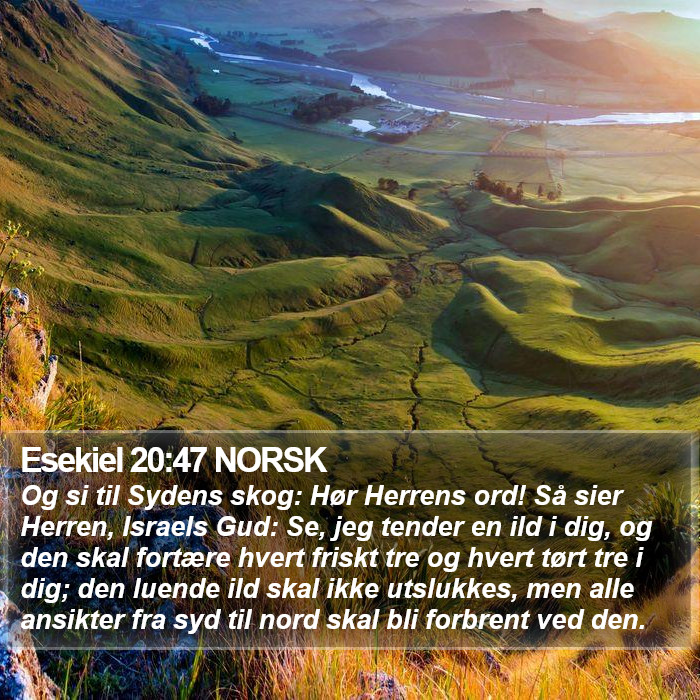 Esekiel 20:47 NORSK Bible Study