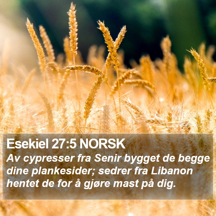 Esekiel 27:5 NORSK Bible Study