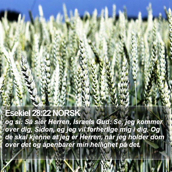 Esekiel 28:22 NORSK Bible Study