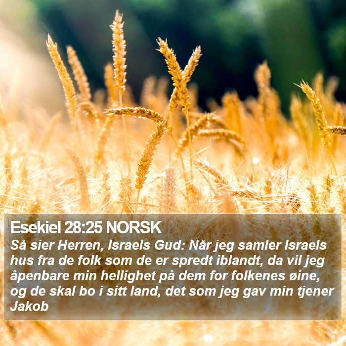 Esekiel 28:25 NORSK Bible Study