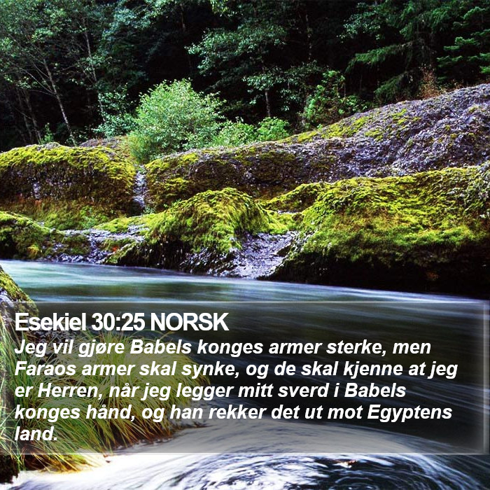 Esekiel 30:25 NORSK Bible Study