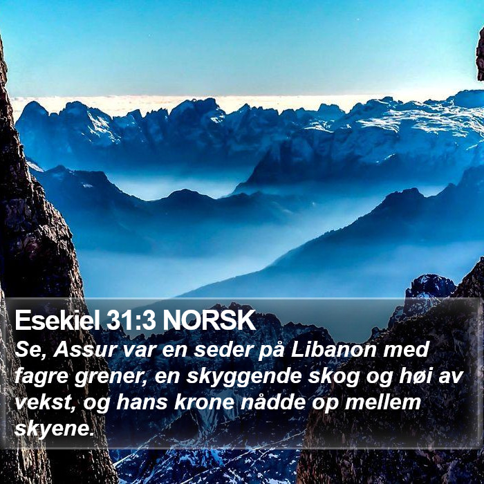 Esekiel 31:3 NORSK Bible Study