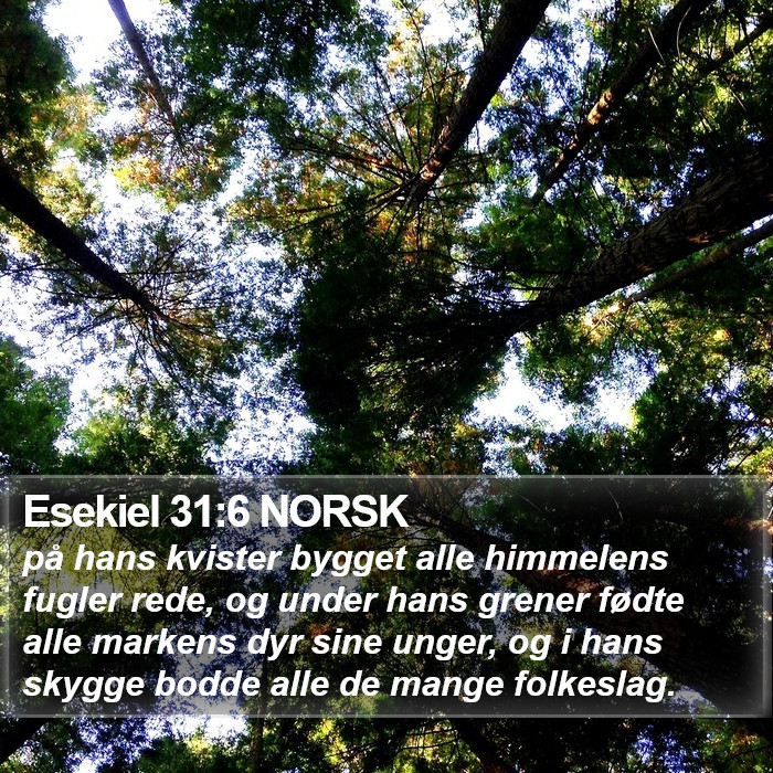 Esekiel 31:6 NORSK Bible Study