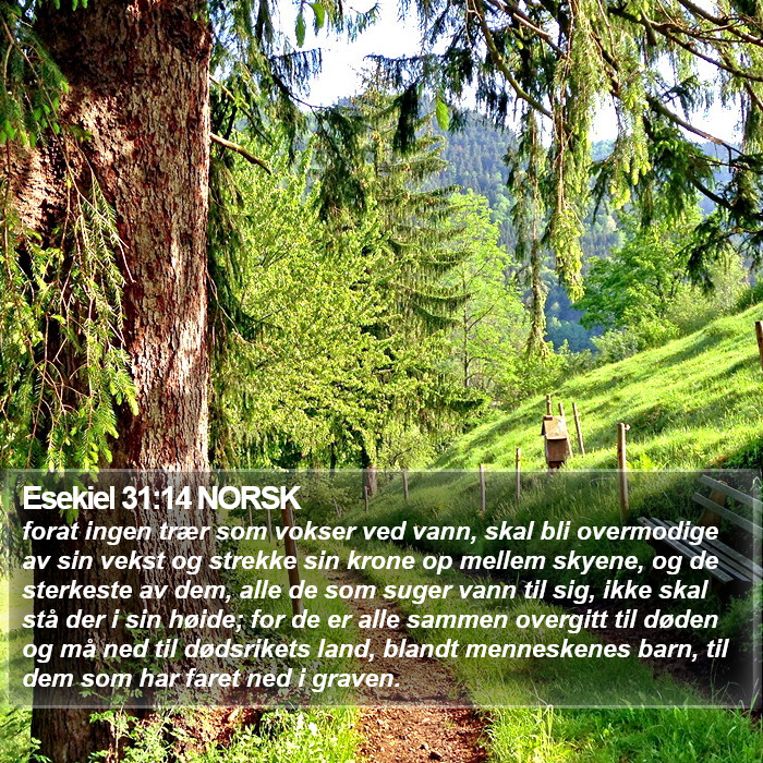 Esekiel 31:14 NORSK Bible Study