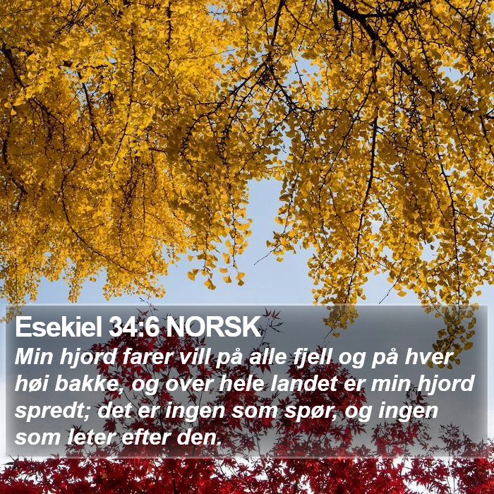 Esekiel 34:6 NORSK Bible Study