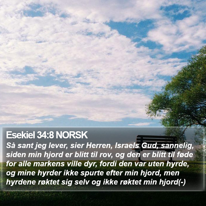 Esekiel 34:8 NORSK Bible Study