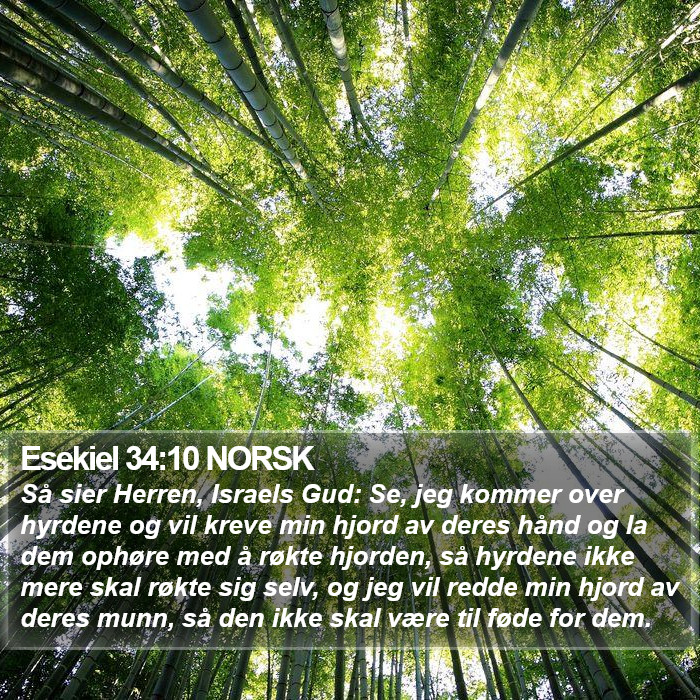 Esekiel 34:10 NORSK Bible Study