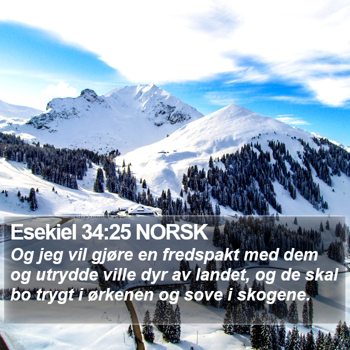 Esekiel 34:25 NORSK Bible Study