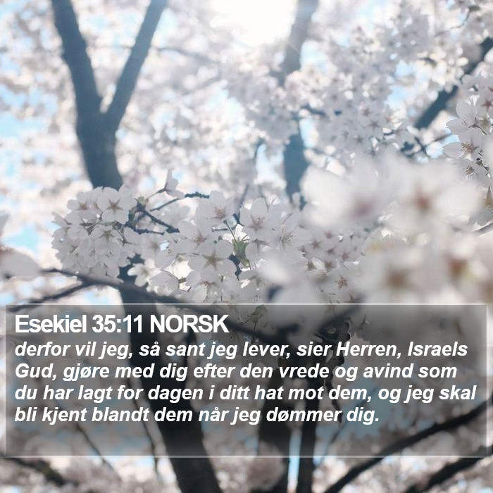 Esekiel 35:11 NORSK Bible Study