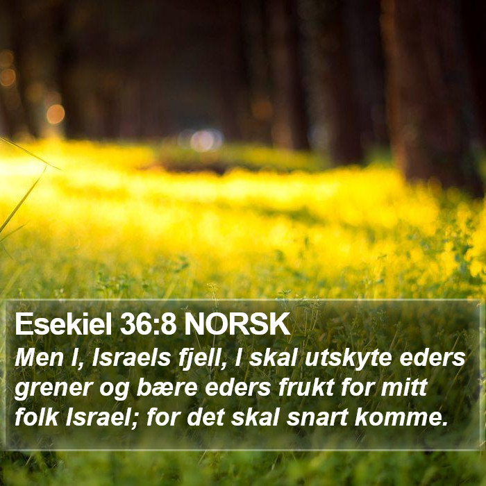 Esekiel 36:8 NORSK Bible Study