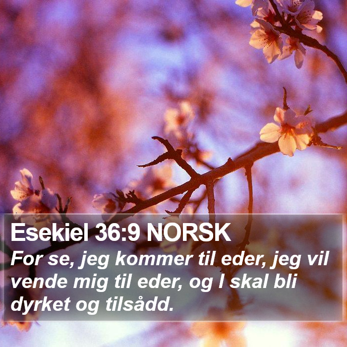 Esekiel 36:9 NORSK Bible Study