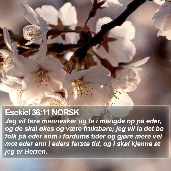 Esekiel 36:11 NORSK Bible Study