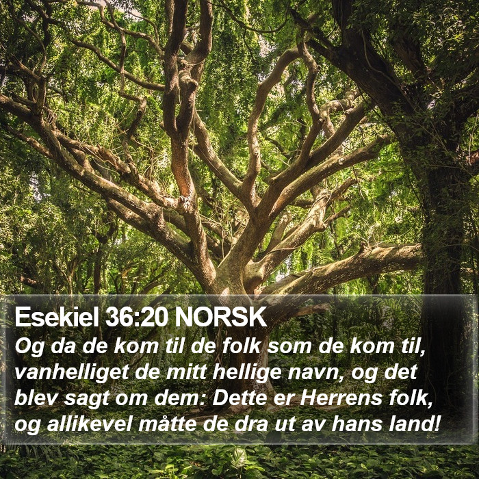 Esekiel 36:20 NORSK Bible Study