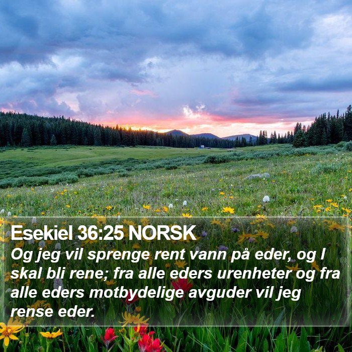 Esekiel 36:25 NORSK Bible Study