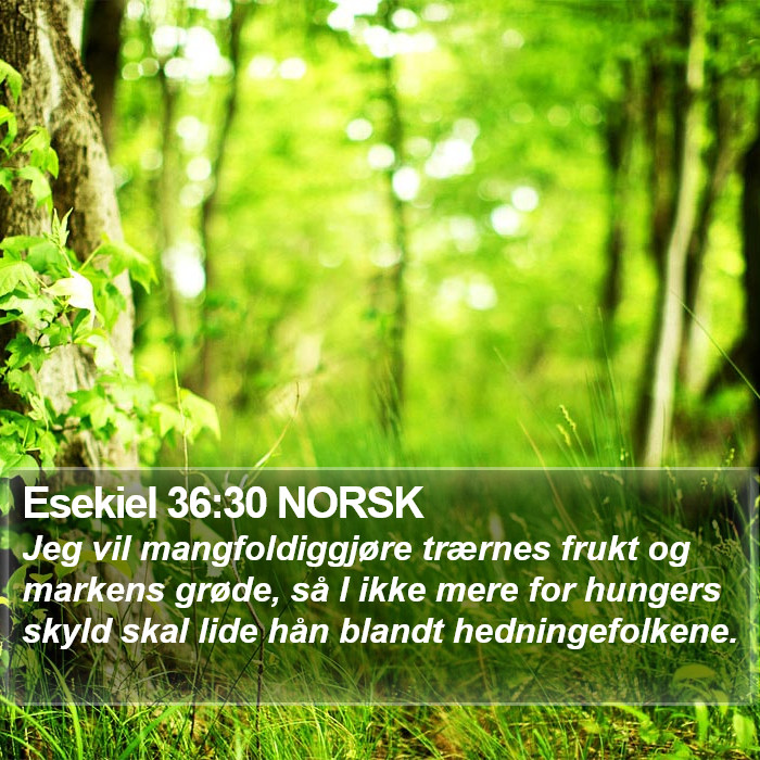 Esekiel 36:30 NORSK Bible Study