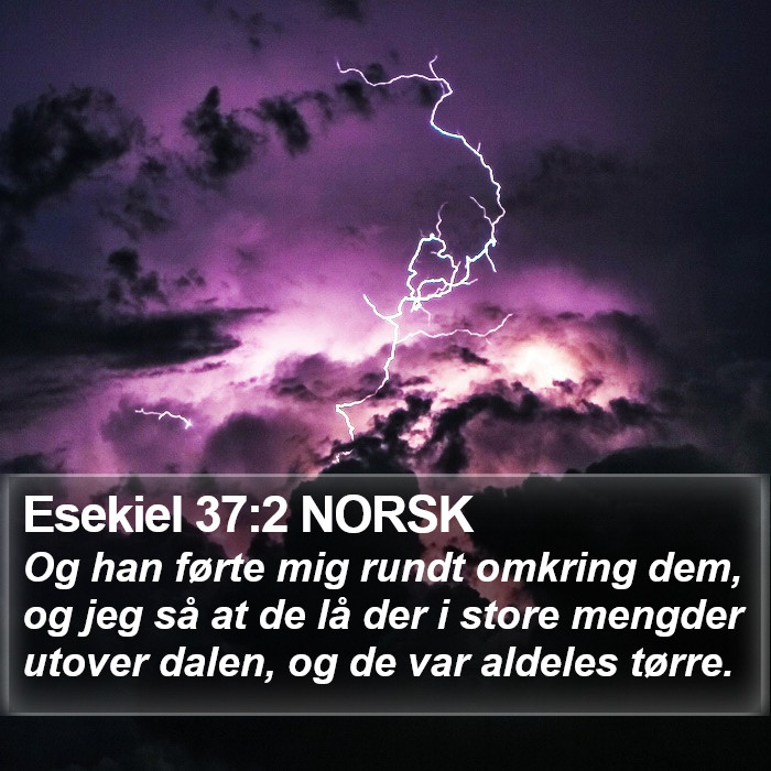 Esekiel 37:2 NORSK Bible Study