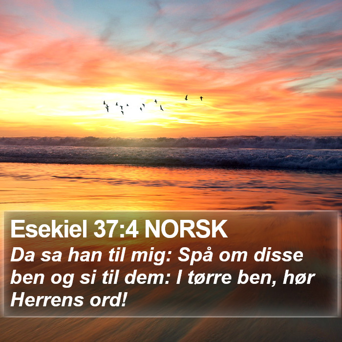 Esekiel 37:4 NORSK Bible Study