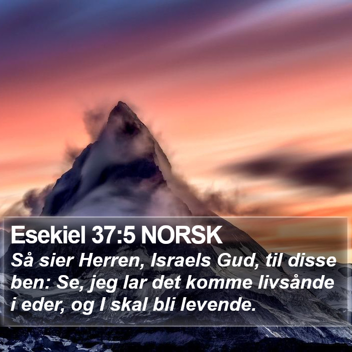 Esekiel 37:5 NORSK Bible Study