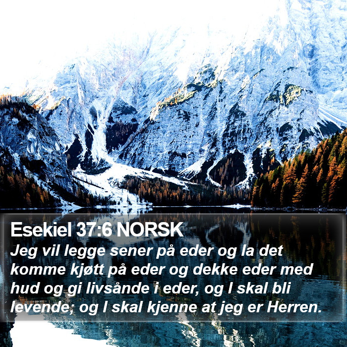 Esekiel 37:6 NORSK Bible Study