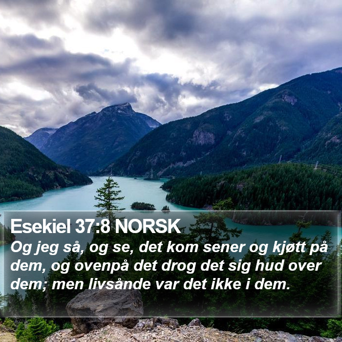 Esekiel 37:8 NORSK Bible Study