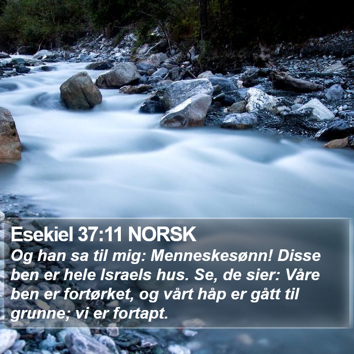 Esekiel 37:11 NORSK Bible Study