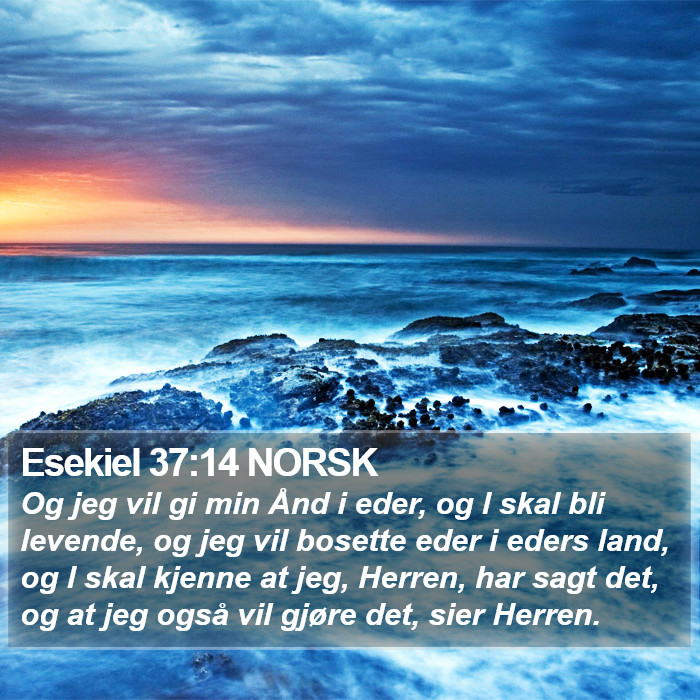 Esekiel 37:14 NORSK Bible Study