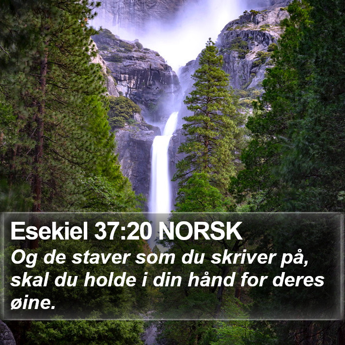 Esekiel 37:20 NORSK Bible Study