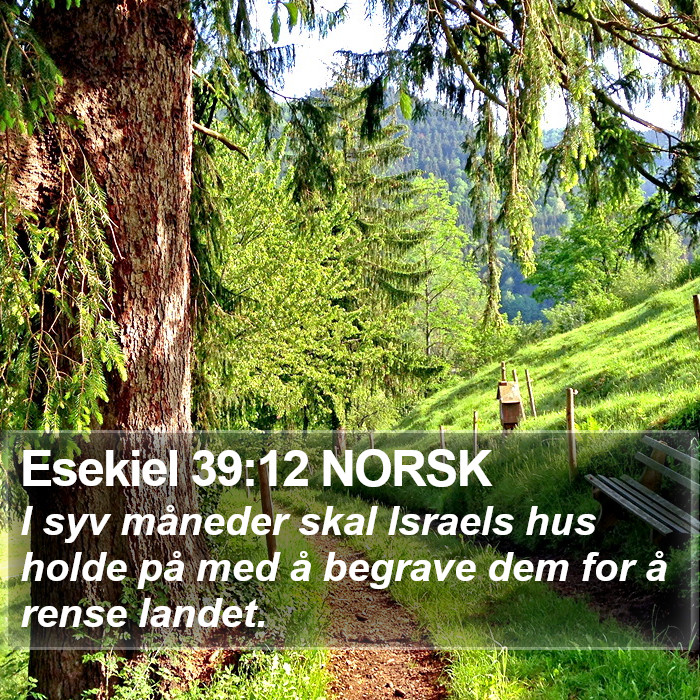 Esekiel 39:12 NORSK Bible Study