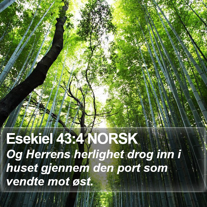 Esekiel 43:4 NORSK Bible Study