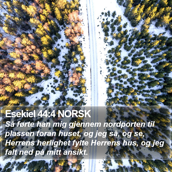 Esekiel 44:4 NORSK Bible Study